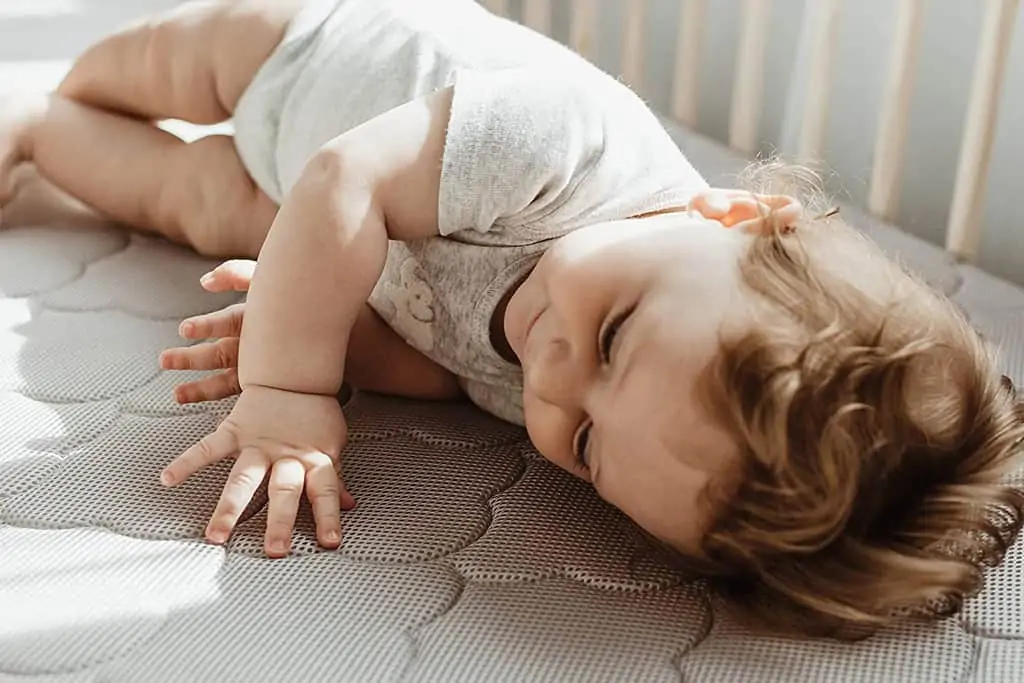 Newton Waterproof Crib Mattress